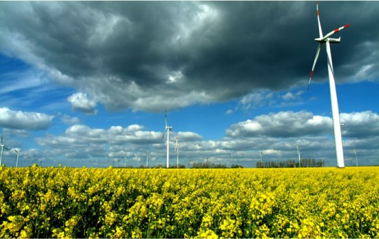 wind mills OC