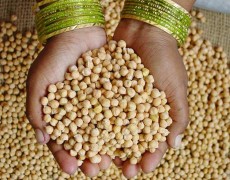The devil is in the chickpea part 1 – can we sustainably feed 9 billion people?